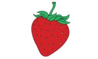 Wie zeichnet man eine Erdbeere