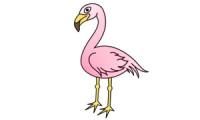 Wie zeichnet man ein Flamingo