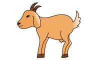 Wie Man Eine Ziege Zeichnet