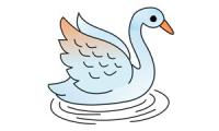 Wie zeichnet man einen Schwan