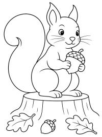 Eichh&ouml;rnchen mit Eichel
