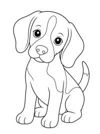 Beagle-Welpe