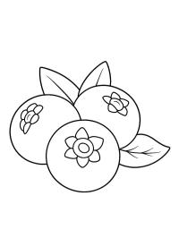 Heidelbeeren