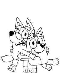 Bluey und Bingo