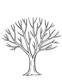 Baum ohne Blätter