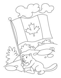 Biber hält kanadische Flagge