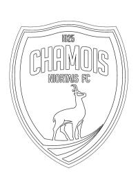 Chamois Niort