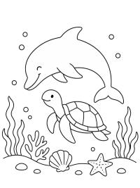 Delfin und Meeresschildkr&ouml;te unter Wasser