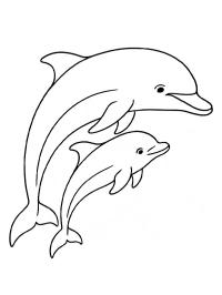 Delfin mit Baby