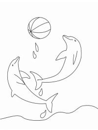 Delfin mit Ball