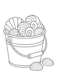 Eimer mit Muscheln