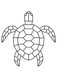 Geometrische Schildkröte