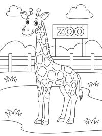 Giraffe im Zoo