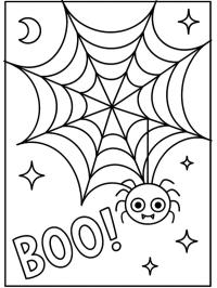 Lustige Spinne im Netz