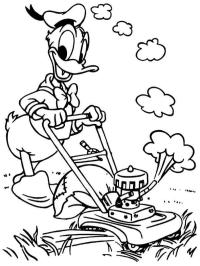 Donald Duck schneidet Gras