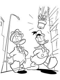 Gustav Gans und Donald Duck