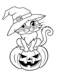 Halloween-Katze in einem Hexenhut