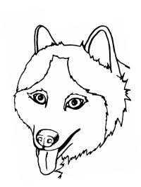 Husky Kopf