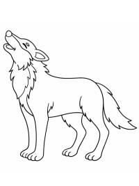 Heulender Wolf