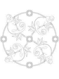 Cham&auml;leon-Mandala