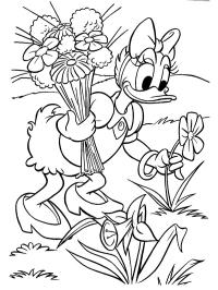 Daisy Duck pflückt Blumen