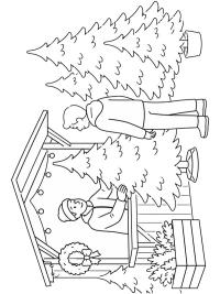 Weihnachtsbaumverkauf