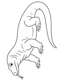 Komodowaran