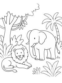 Löwe und Elefant im Dschungel