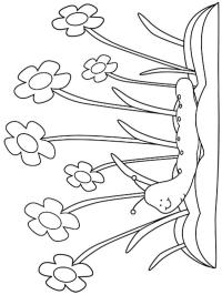 Frühlingsraupe