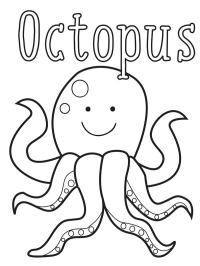 Oktopus