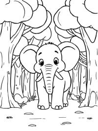 Elefant im Wald