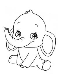 Baby Elefant