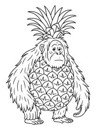 Orangutini Ananasini