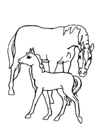 Pferd und Fohlen