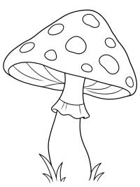 Pilz mit Punkten