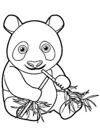 Panda isst Bamboe