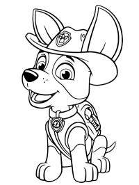 Paw Patrol Tracker