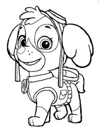 Ausmalbilder Paw Patrol. 75 Bilder. Kostenlos drucken  Patrulha canina  para colorir, Patrulha canina desenho, Páginas para colorir