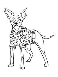 Zwergpinscher