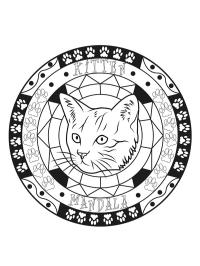 Mandala Katzen