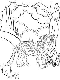 Niedlicher Leopard