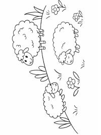 Niedliche Schafe auf der Weide