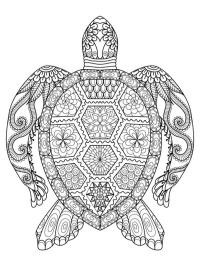 Schildkröte Mandala
