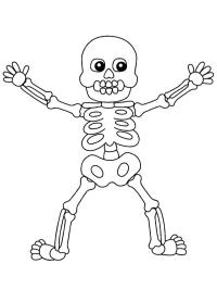 Halloween Skelett (Mensch)