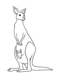 Stehendes Känguru mit Baby
