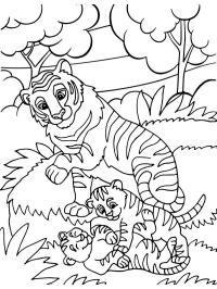 Tigerbabys