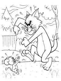 Tom und Jerry kämpfen