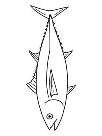 Thunfisch