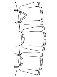 An einer Wäscheleine hängen Pullover