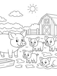 Schweinefarm